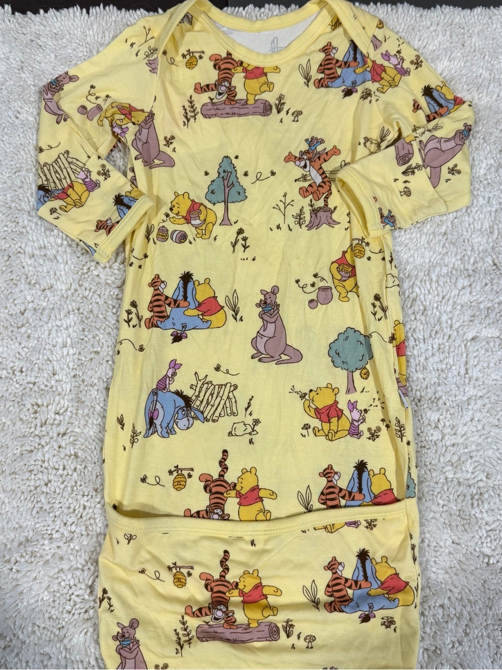 Little Sleepies Disney Winnie the Pooh Friends Long Sleeve Sleep Gown